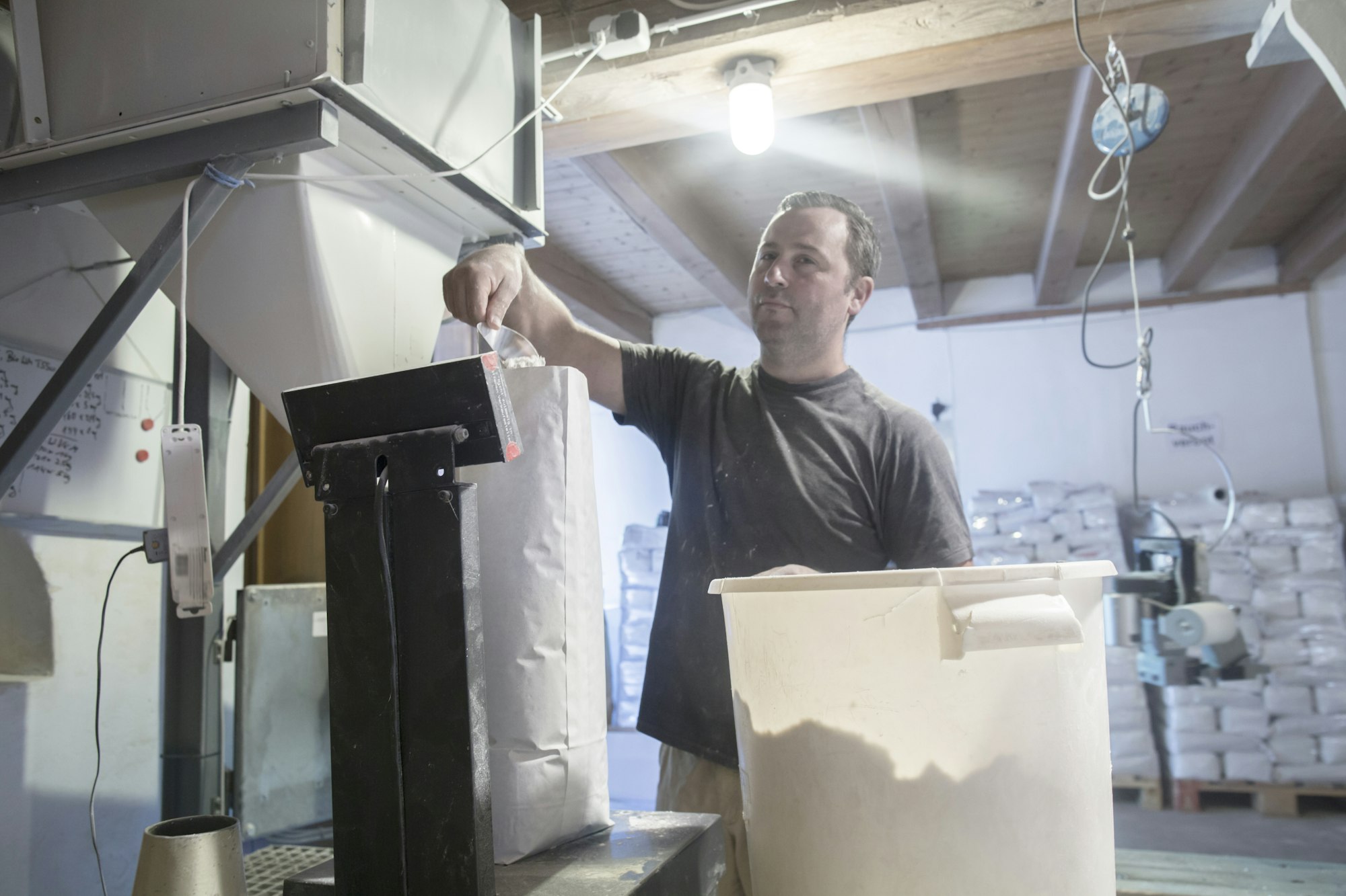 Male miller filling sacks with milled flour in wheat mill